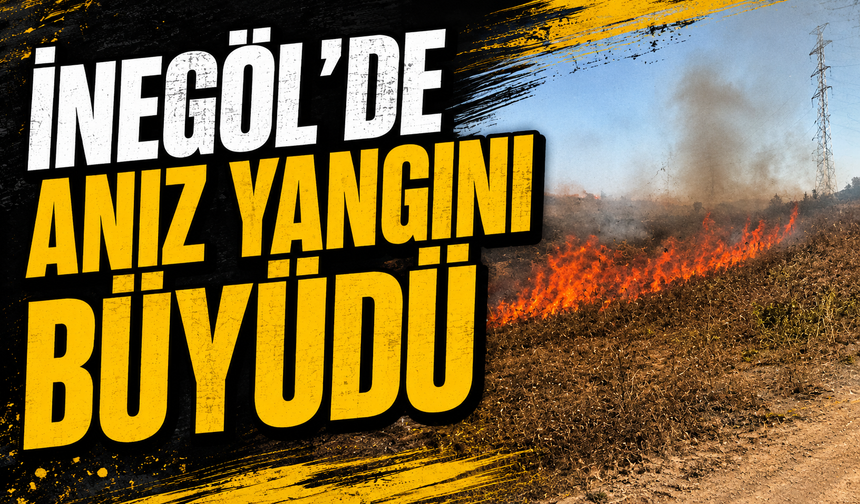 Bursa İnegöl'de anız yangını büyüdü