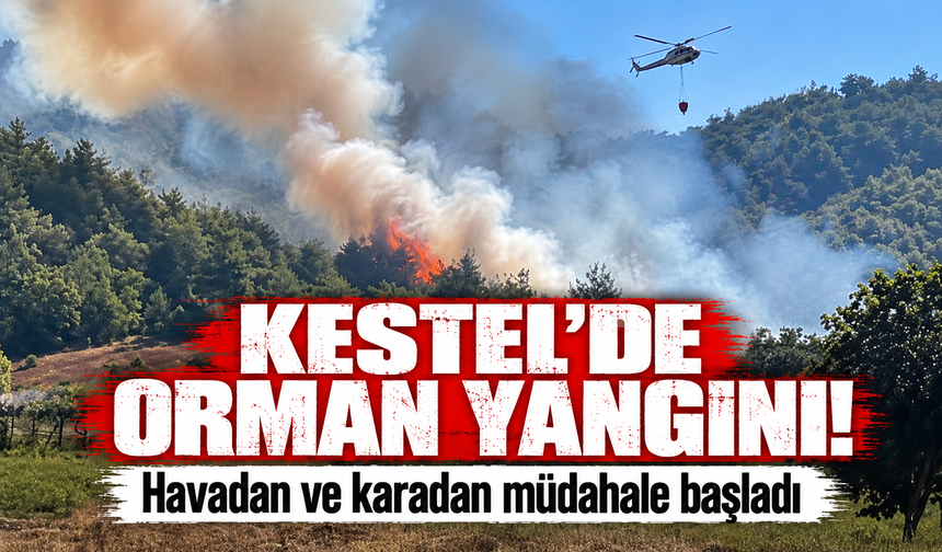 Bursa Kestel'de orman yangını: Havadan ve karadan müdahale başlatıldı