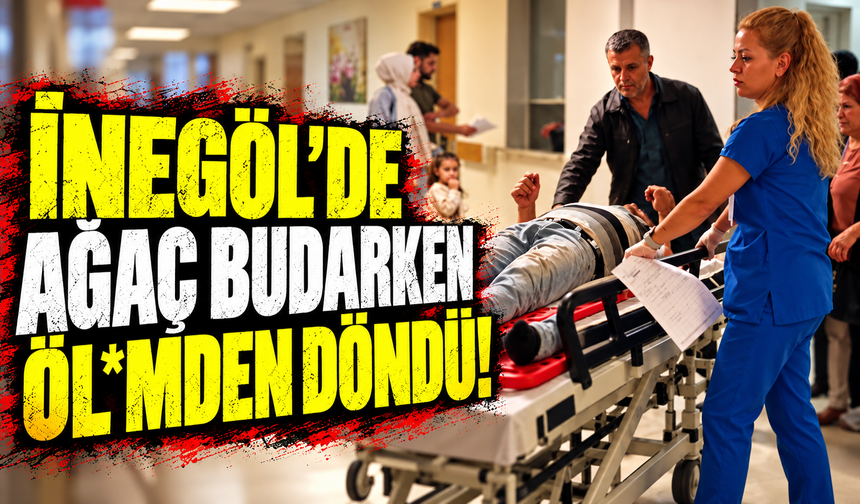 Bursa İnegöl'de ağaç budarken yere düştü