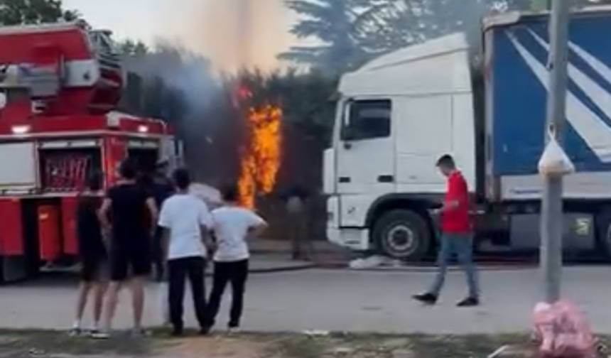 Bir anda alev aldı! İnegöl’de Botanik Park’ta yangın paniği