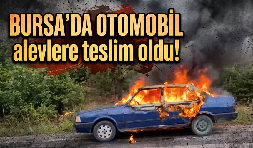 Bursa'da otomobil alevlere teslim oldu!