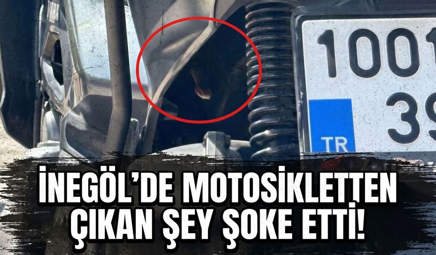 İnegöl'de motosikletten çıkan şey şoke etti!