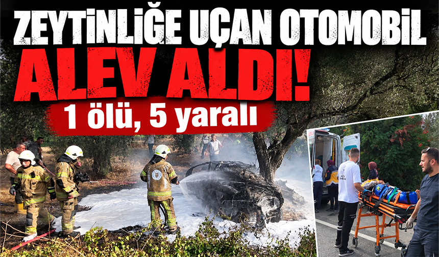 Bursa Orhangazi'de kontrolden çıkan otomobil tarlada yandı: 1 ölü, 5 yaralı