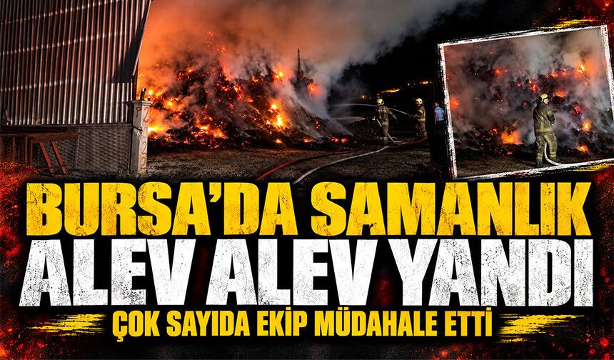 Bursa Kestel’de samanlık alev alev yandı