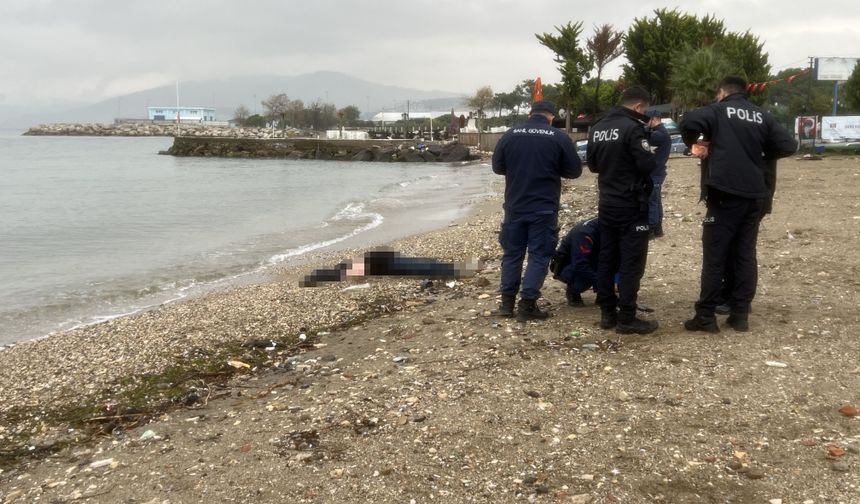 Mudanya'da plajda erkek c*sedi bulundu