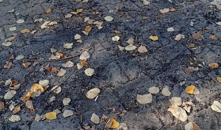 Bilecik'te parkın ortasında ateş yaktılar
