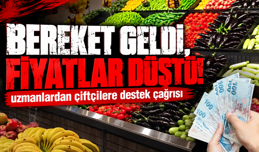 Bereket geldi, fiyatlar düştü! Uzmanlardan çiftçilere destek çağrısı