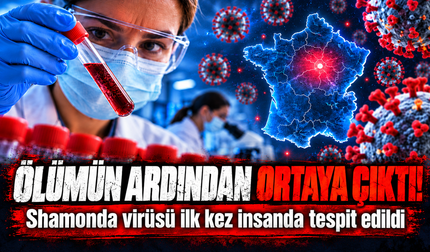 Fransa'da Shamonda virüsü ilk kez bir insanda tespit edildi