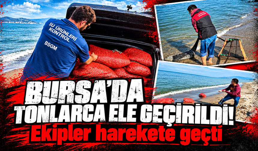 Bursa’da kaçak avcılığa geçit yok: 2 ton 760 kilo kum şırlanı doğaya bırakıldı
