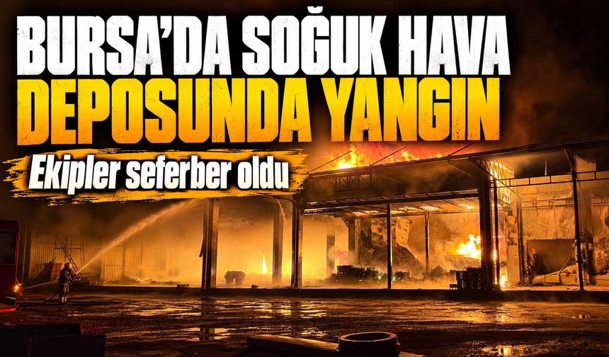 Bursa İznik'te soğuk hava deposunda yangın: Ekipler seferber oldu