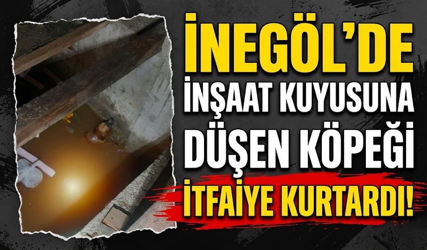 İnegöl'de inşaat kuyusuna düşen köpeği itfaiye kurtardı!
