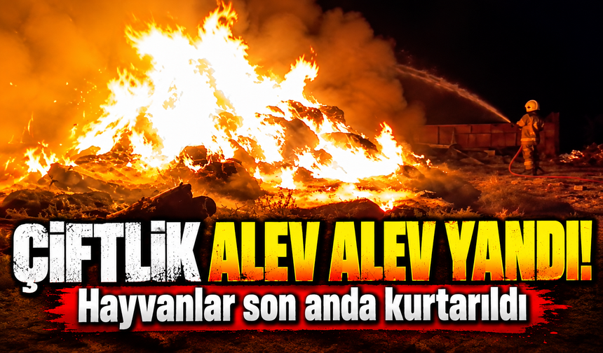 Bursa Karacabey'de çiftlik alevlere teslim oldu!