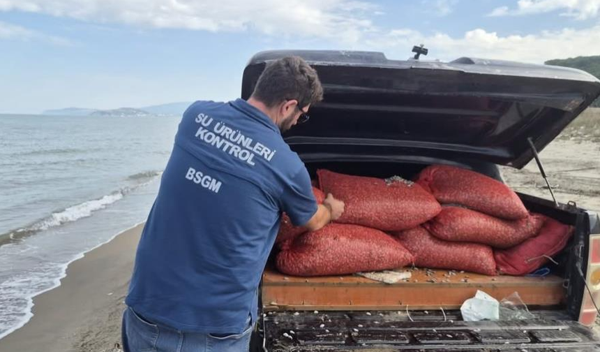 Bursa’da kaçak avcılığa geçit yok: 2 ton 760 kilo kum şırlanı doğaya bırakıldı