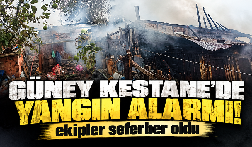 Güney Kestane’de Yangın Alarmı! Ekipler Seferber Oldu