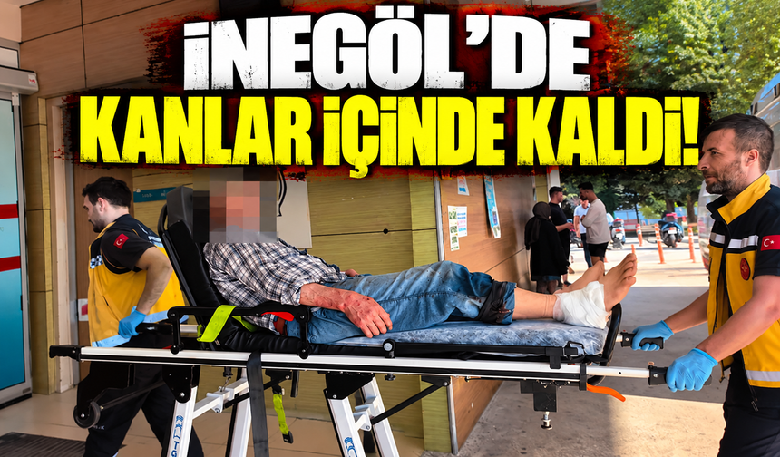 Bursa İnegöl'de yaşlı adam odun keserken yaralandı