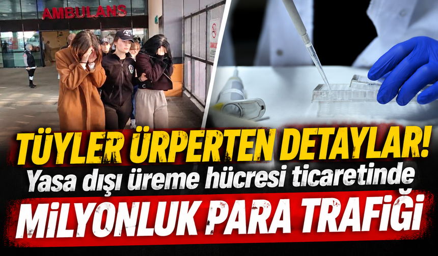 Yasa dışı üreme hücresi ticaretinde milyonluk para trafiği