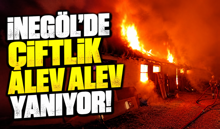 Bursa İnegöl’de çiftlik alev alev yanıyor!