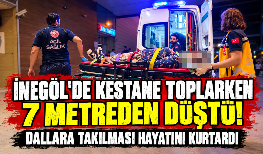 Bursa İnegöl’de kestane toplarken 7 metreden düştü!