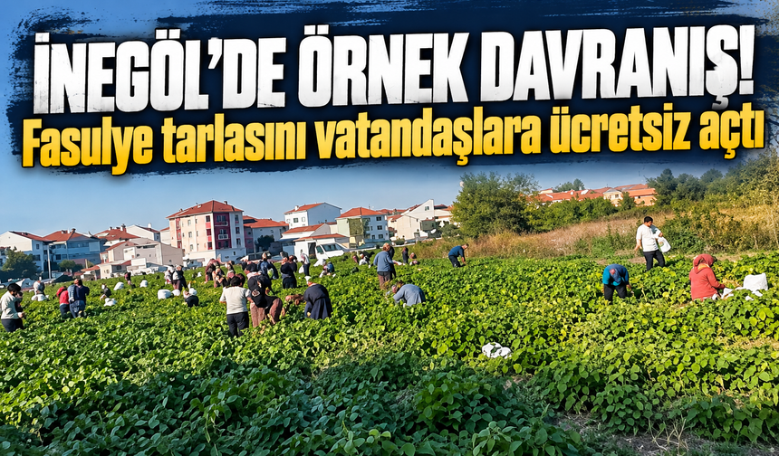 Bursa İnegöl’de Örnek Davranış! Fasulye Tarlasını Vatandaşlara Ücretsiz Açtı