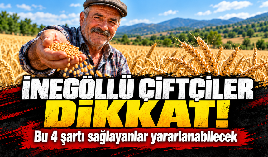 Bursa Büyükşehirden "cendere buğdayı" tohumu desteği