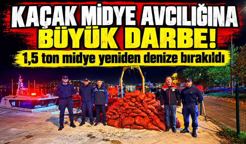 Gemlik’te kaçak midye avına geçit yok: 174 bin TL ceza