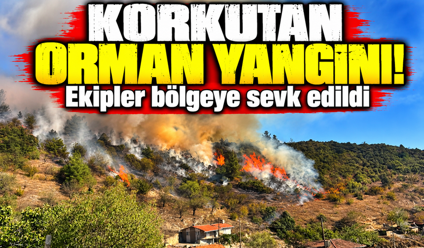 Büyükorhan'da orman yangını: Ekipler bölgeye sevk edildi