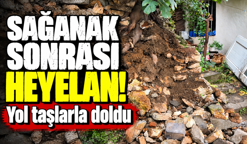 Bursa Yıldırım'da yağmurdan dolayı toprak kaydı, taşlar devrildi