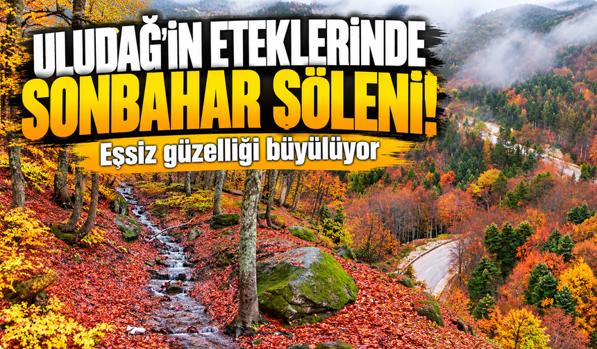 Uludağ'ın sonbahar renkleri ve melodisi tabiat tutkunlarını etkiliyor