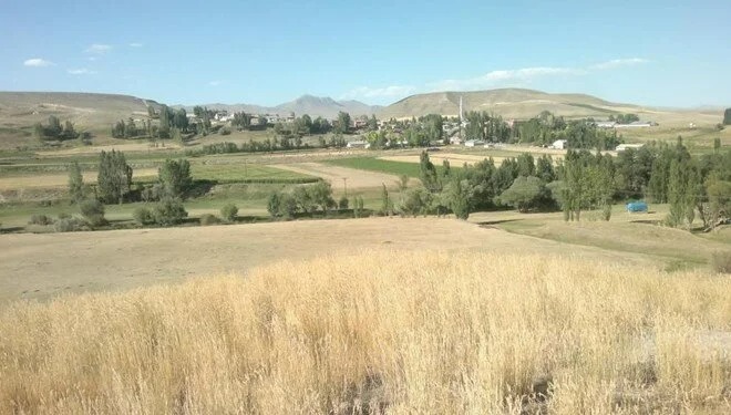 WhatsApp Image 2023-08-15 at 10.55.21