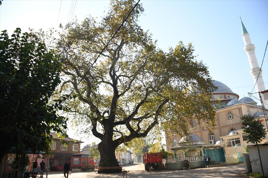 1699-alibeykoy-un-meydani-yenileniyor-7bdd6580-8fd6-4dce-913d-8c87c2aa74df