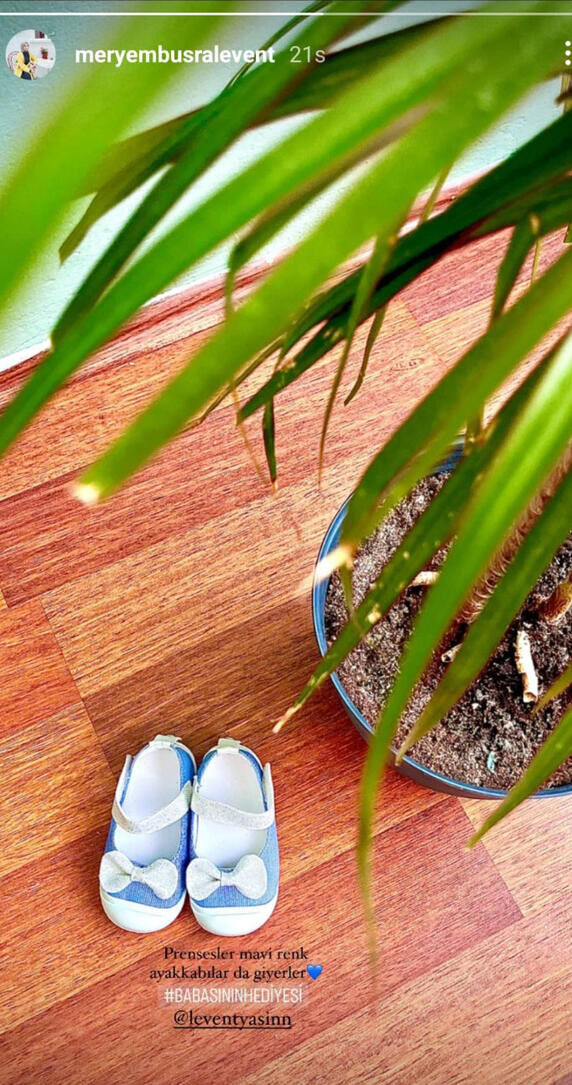 650183f950acca566898bc8f