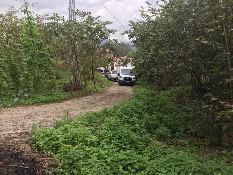 650197fb50acca5ebcbf4b03