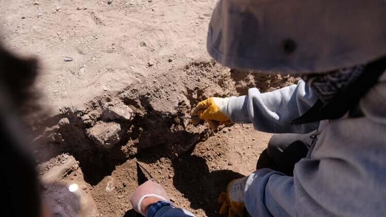 65056421470a9b131ce03684