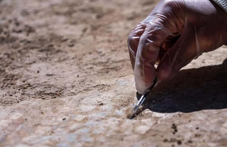 65056422470a9b131ce03688