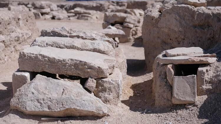 65056422470a9b131ce0368c