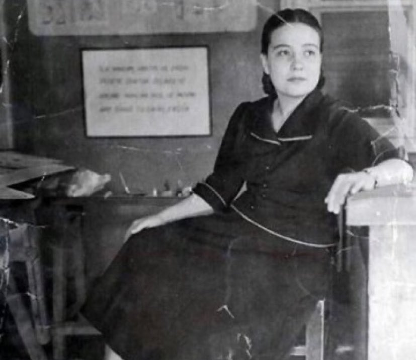 feriha sanerk