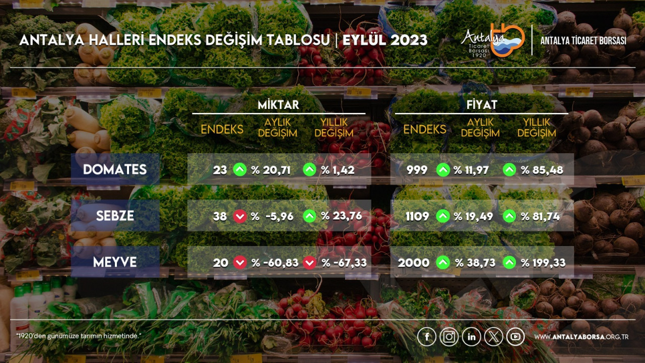 2023-eylul-sebze-meyve-endksi-vjso