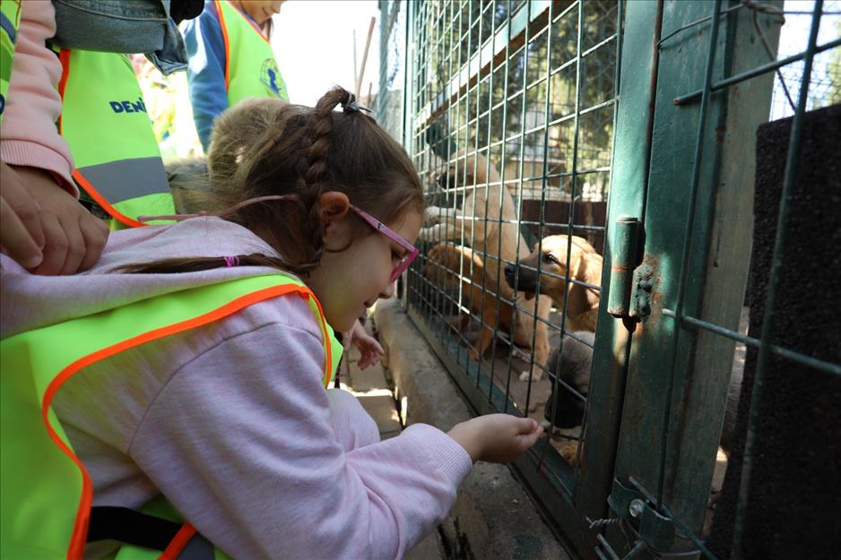 8170-4-ekim-hayvanlari-koruma-gunune-renkli-kutlama-5a25bc42-5424-437a-97a5-38f276327a76