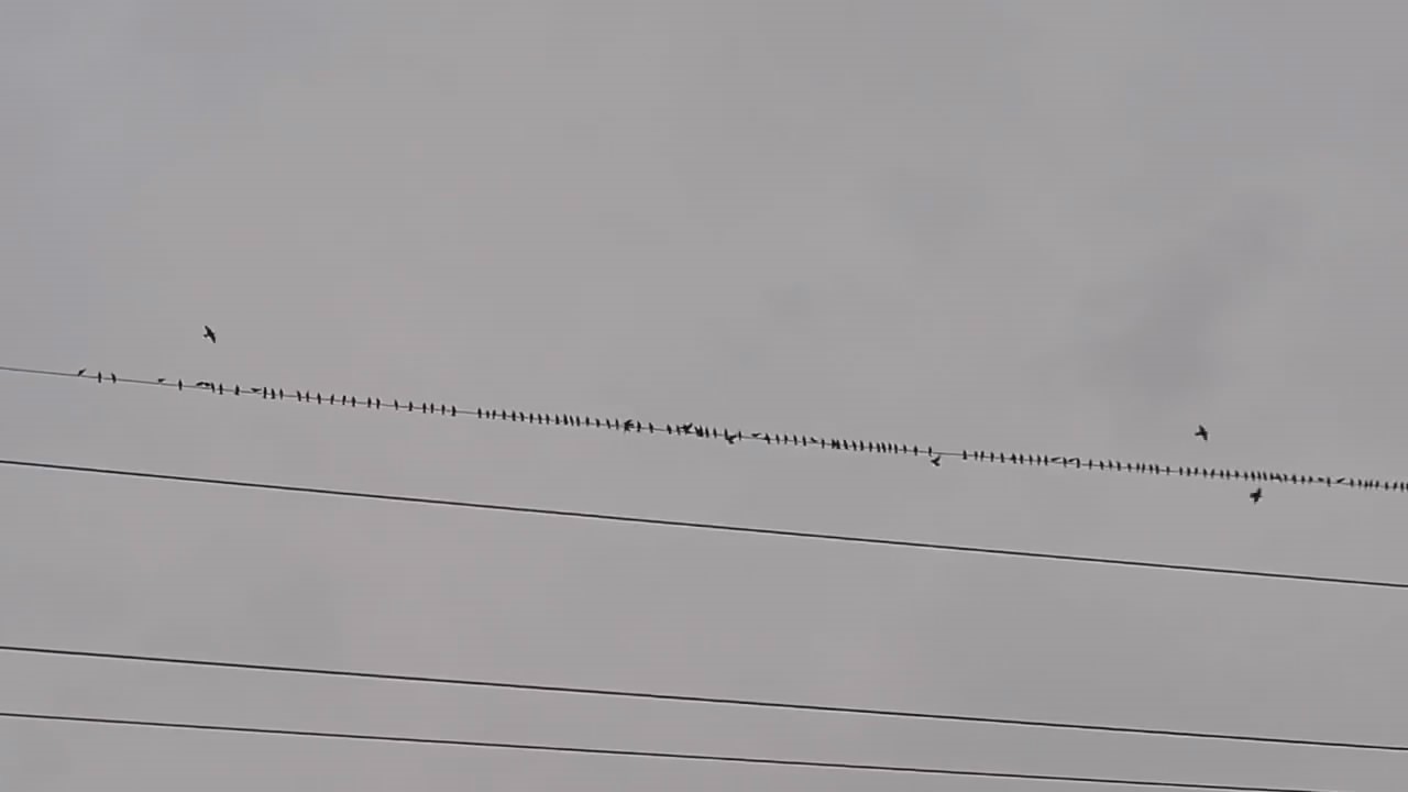 AW093001_03