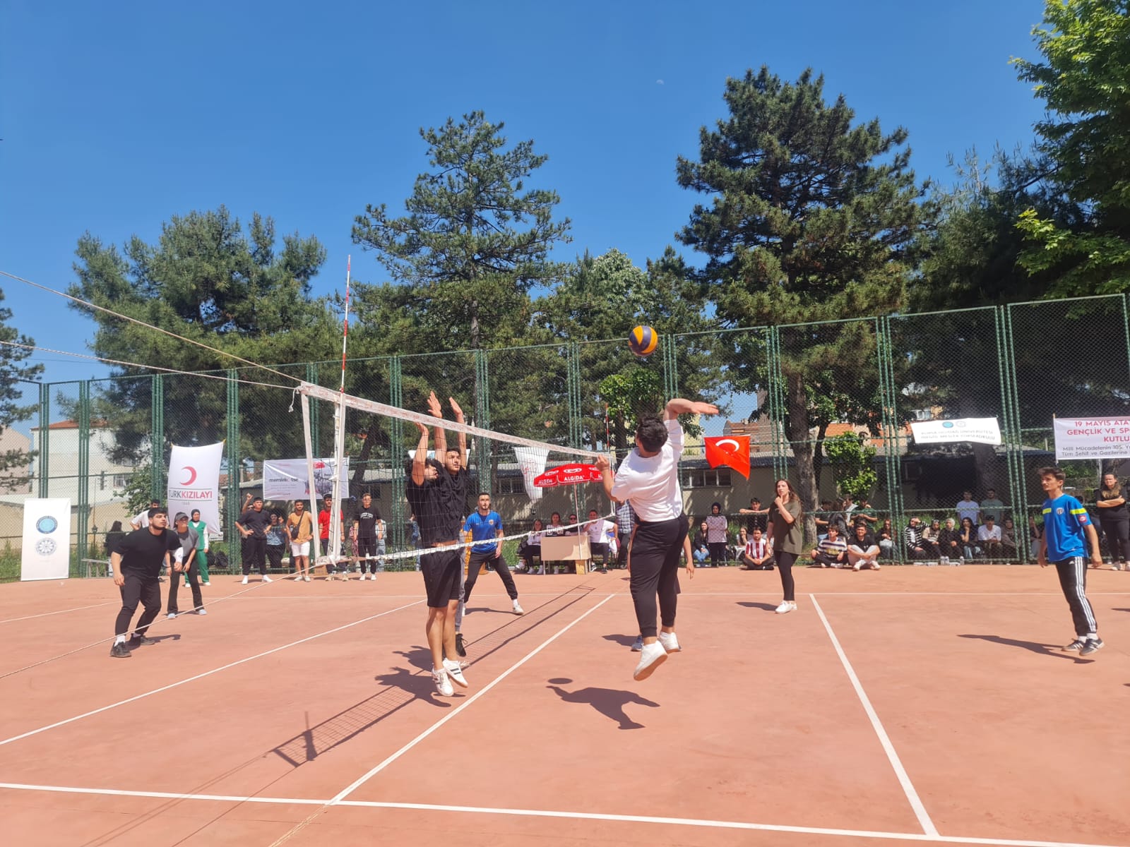 C27D0D3A 2Da5 45F3 A707 32E068E5843A