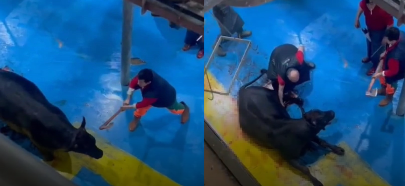 Ekran Görüntüsü 2024 05 18 150527