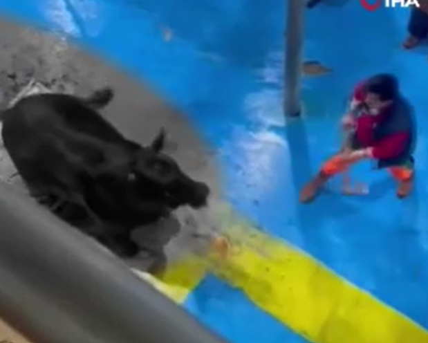 Ekran Görüntüsü 2024 05 18 150603