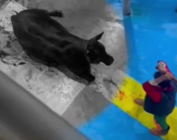 Ekran Görüntüsü 2024 05 18 150635