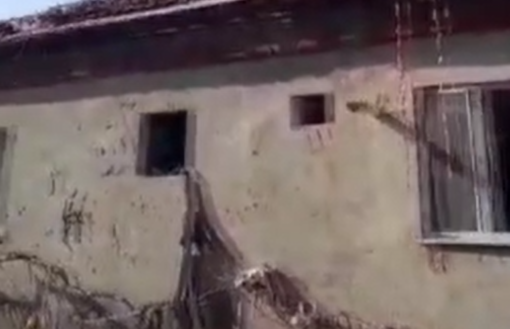 Ekran Görüntüsü 2024 05 22 125333