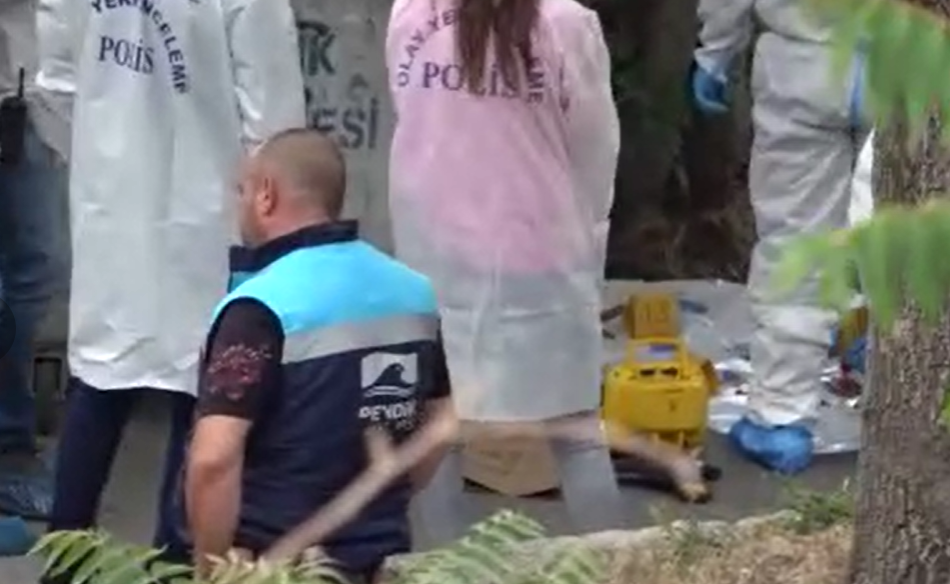 Ekran Görüntüsü 2024 05 27 152930