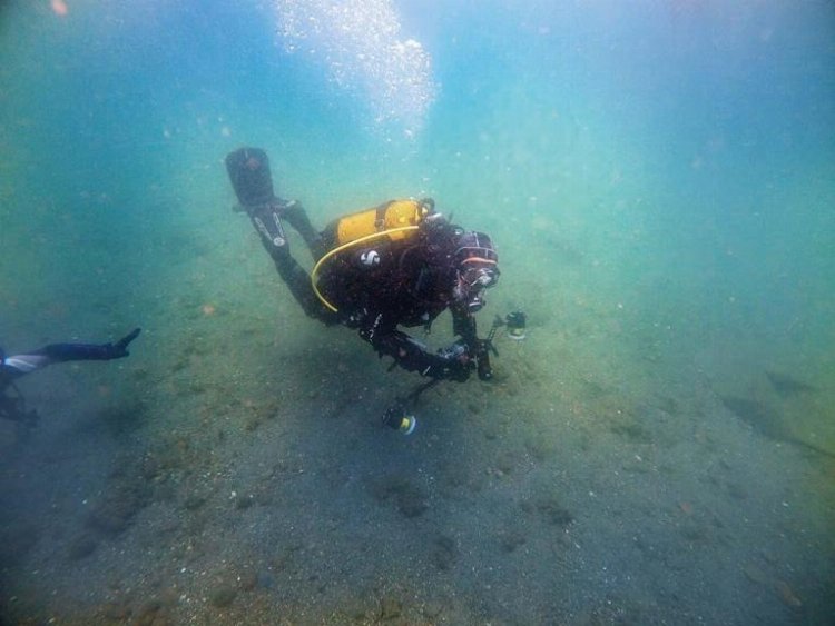 666F6A11406Bd8Da189450D4 1718610355 469