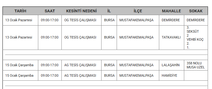 Ekran Görüntüsü 2025 01 12 165536