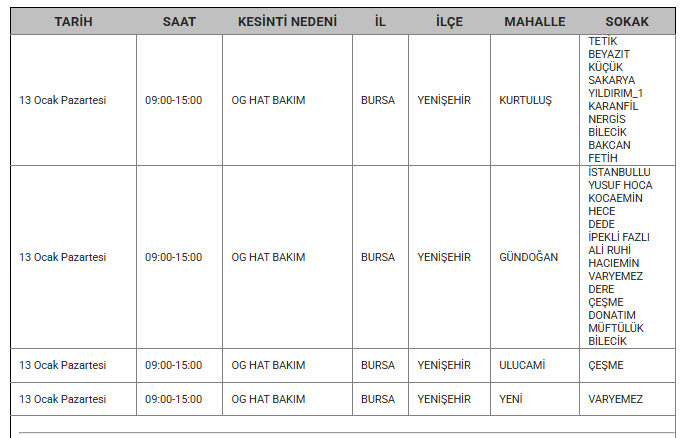 Ekran Görüntüsü 2025 01 12 165743