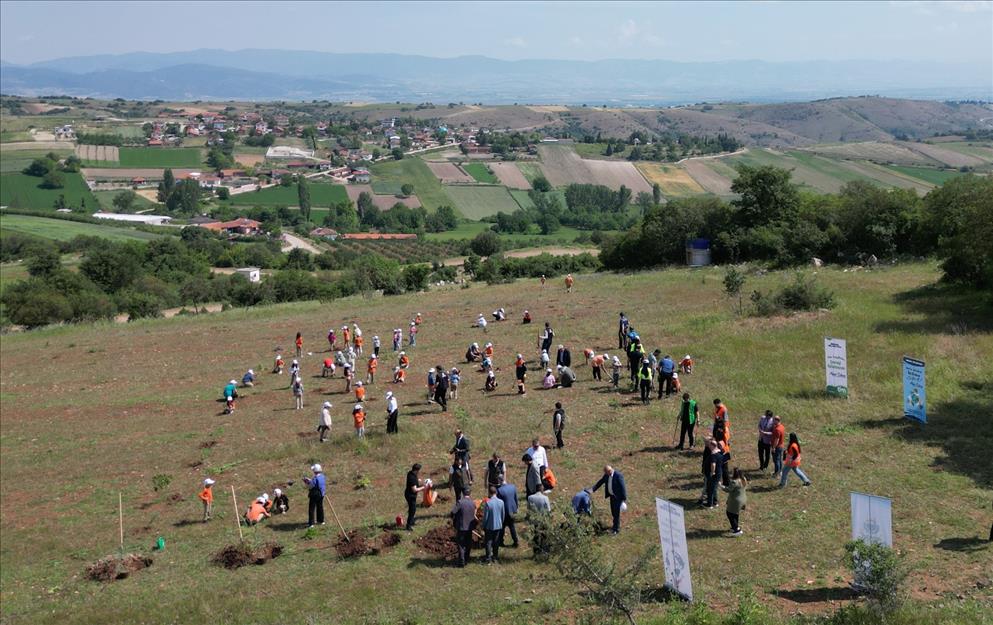 14347 Inegol De Cevre Haftasinda 150 Fidan Toprakla Bulustu 64E990A6 3Bf9 4900 B4D9 741Bc86088Ee