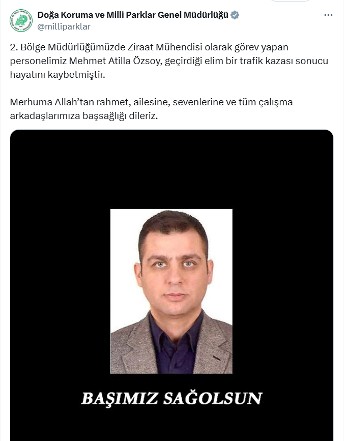 Ekran Görüntüsü 2025 05 18 125124